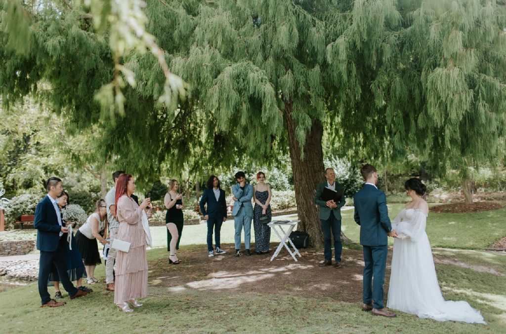 tree over lake wedding