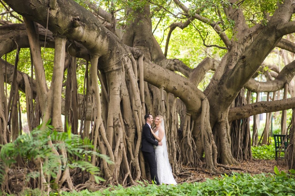 City botanic gardens elopement Celebrant