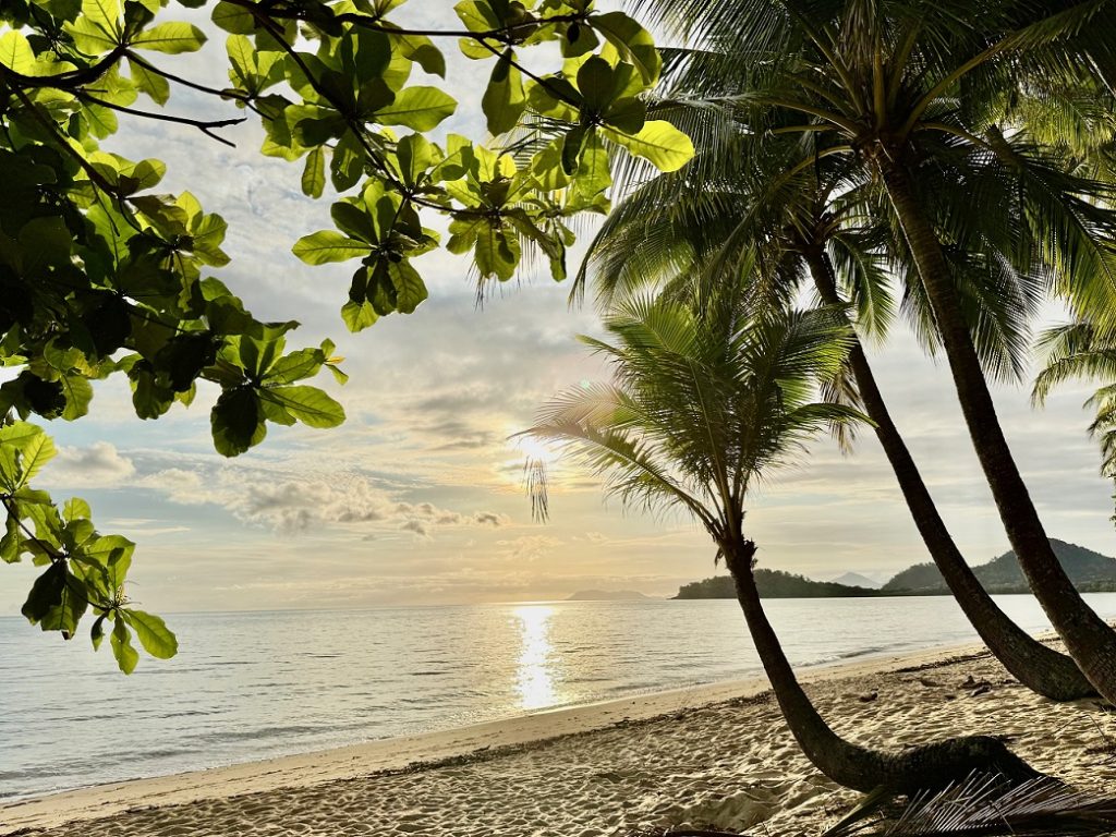 Clifton Beach elopement locations