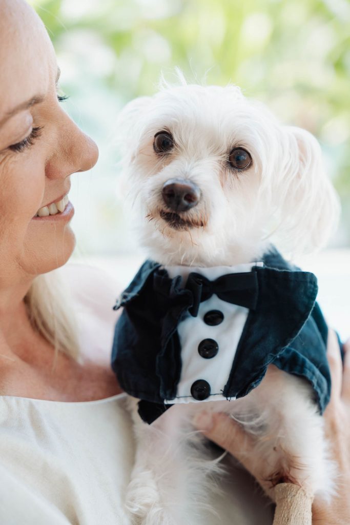 dog wearing wedding tux