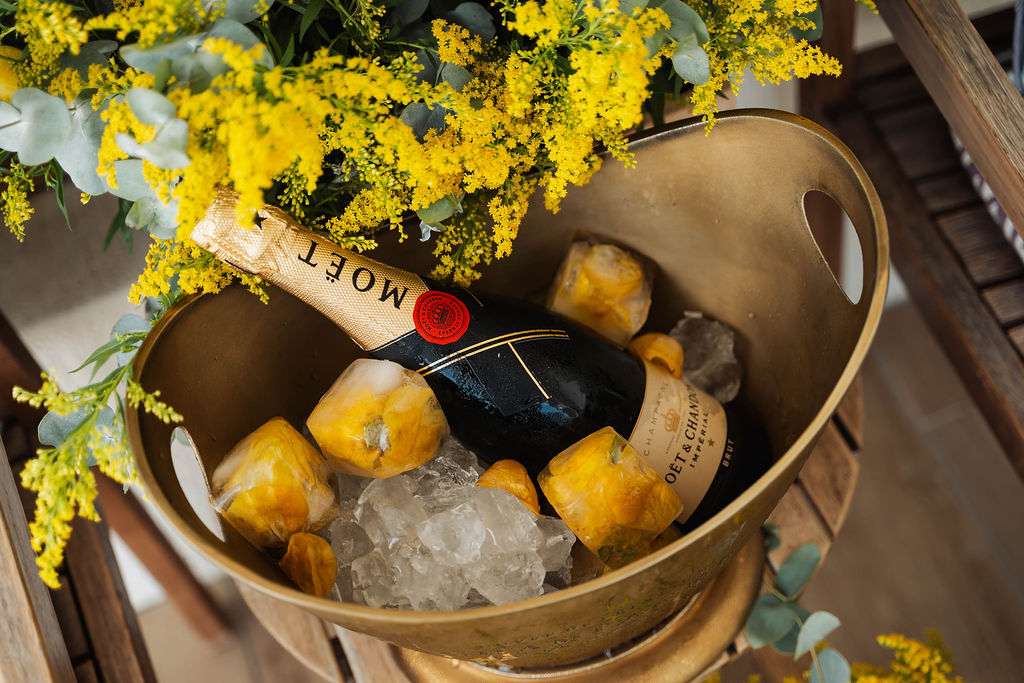 rose bud champagne ice cubes