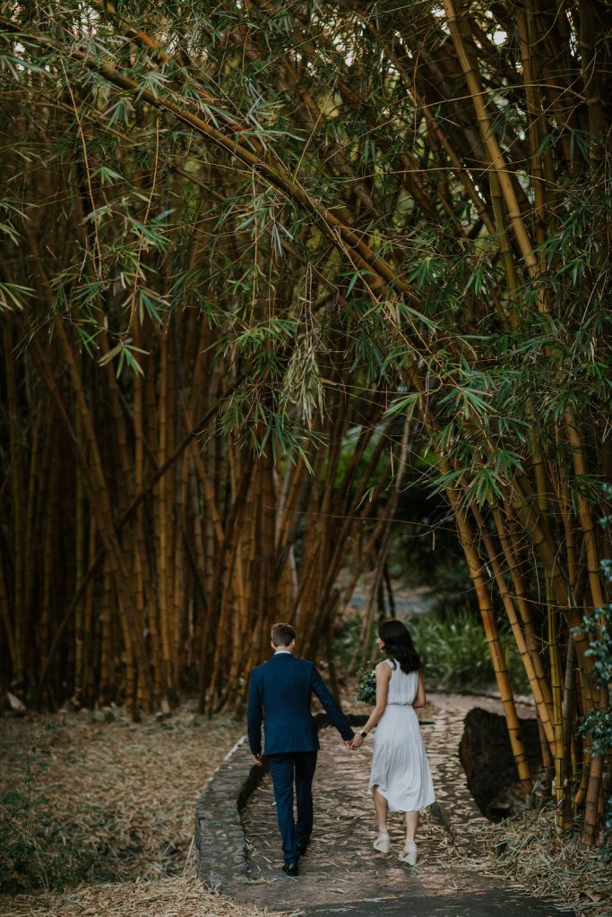 wedding photos Mt Coot-tha botanical gardens