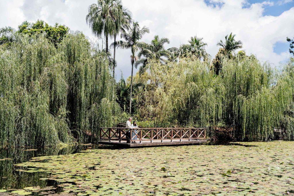 elopement location photos Mt Coot-tha Botanic Gardens
