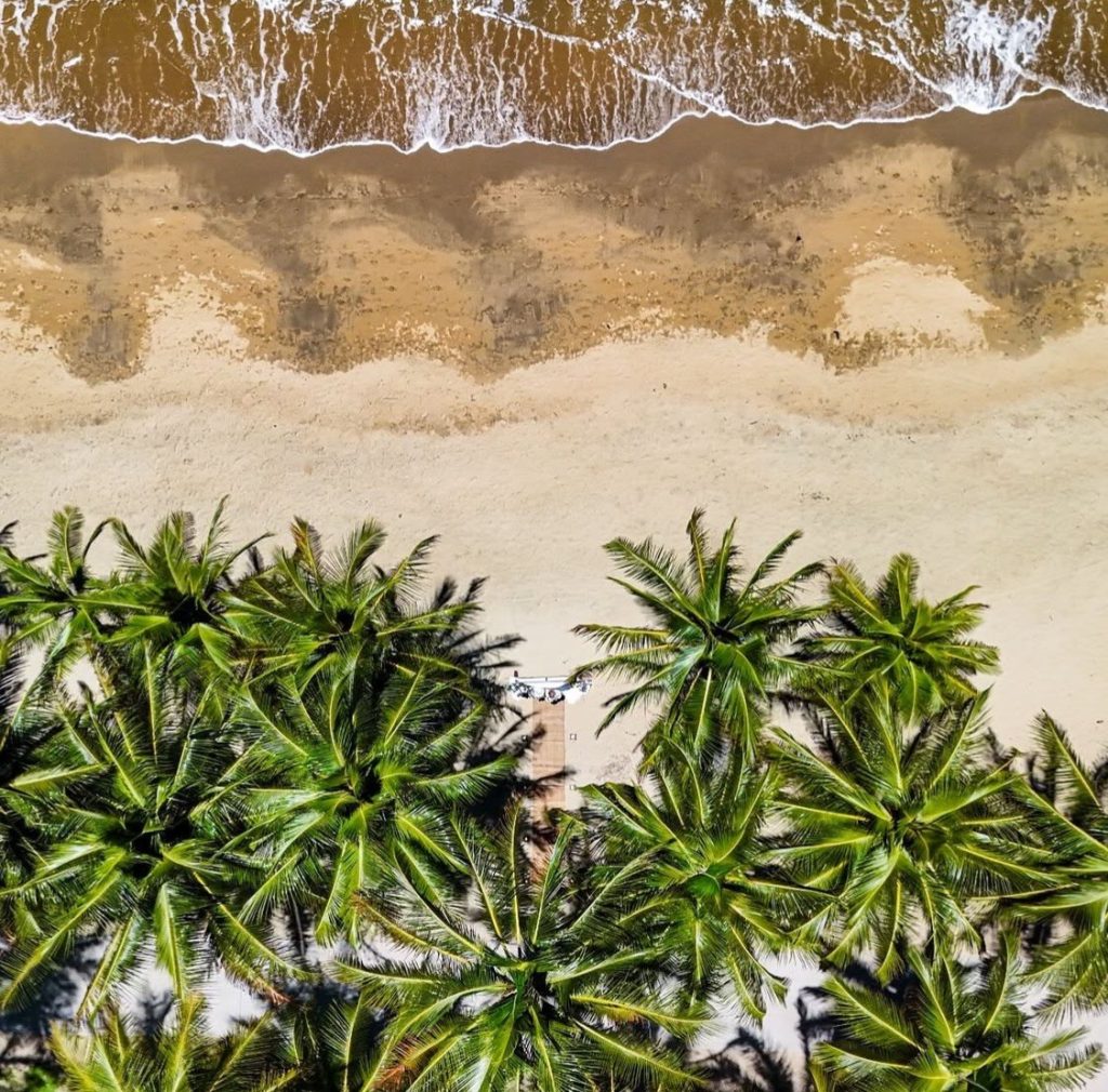 Palm Cove Elopement weddings