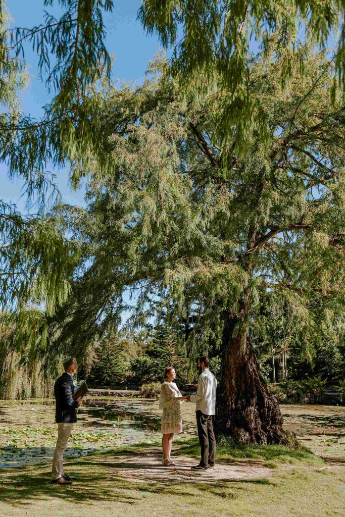 K couple eloping in Brisbane Botanic Gardens